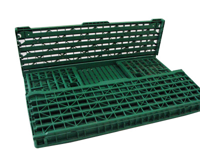 Tray injection mold